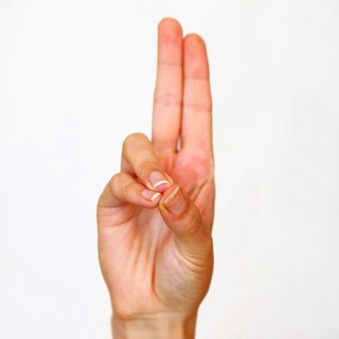 Prana Mudra Significance