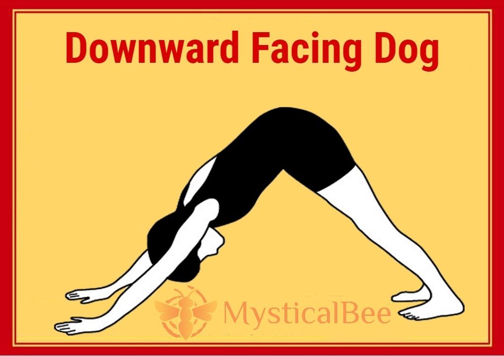 Downward Facing Dog Adho Mukha Svanasana Benefits Steps Mystical Bee