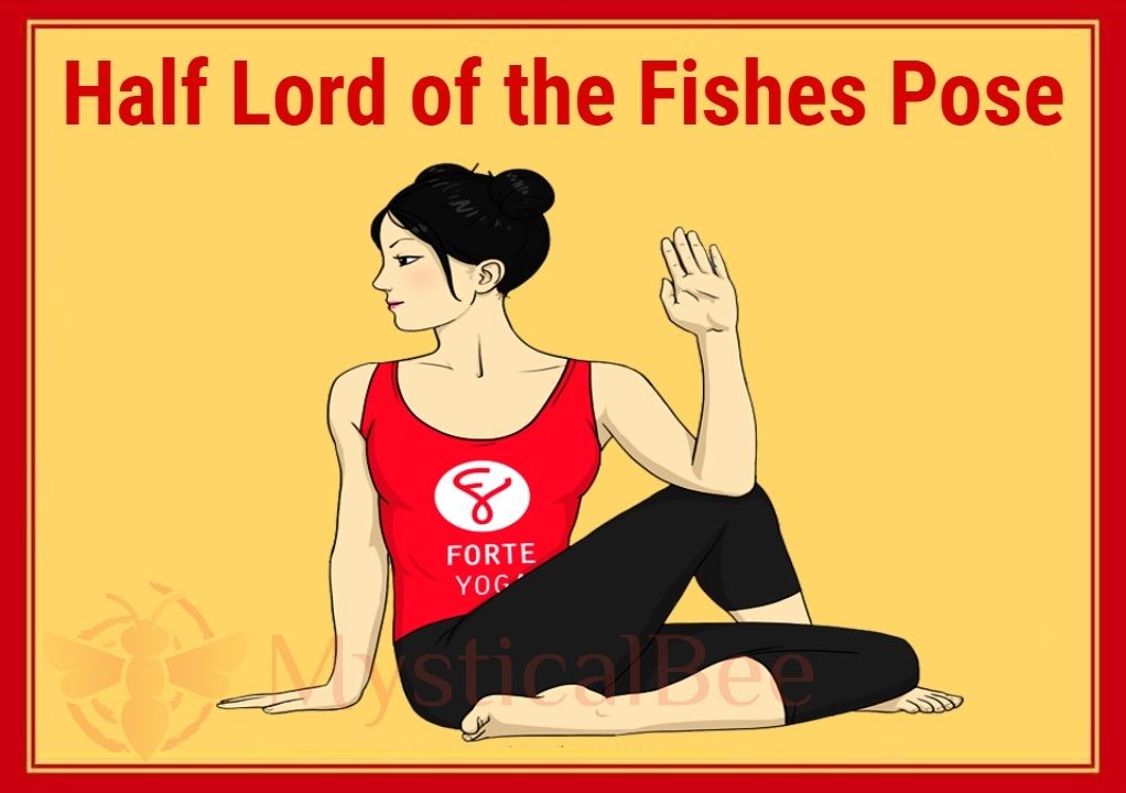 Ardha Matsyendrasana | The Half Fish Pose | Steps | Benefits | Yogic  Fitness ! #yogaforbegginers - YouTube