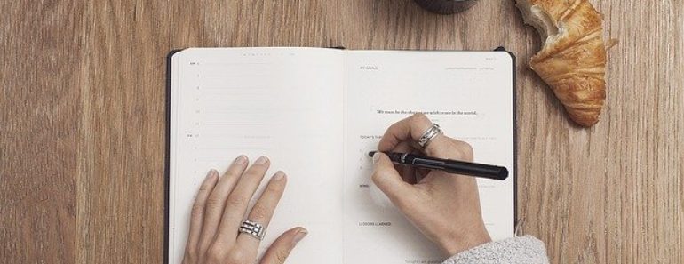 MANIFESTATION JOURNAL